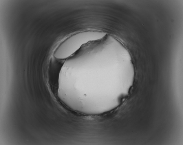 X0000083020241200703022010