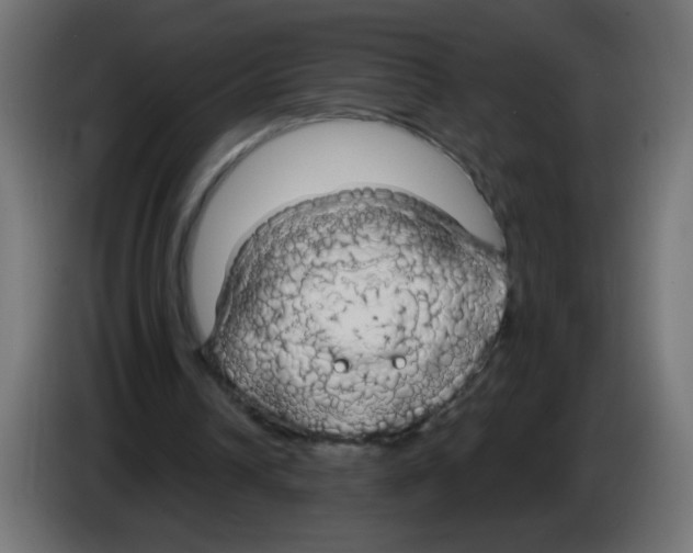 X0000083020242200703022010