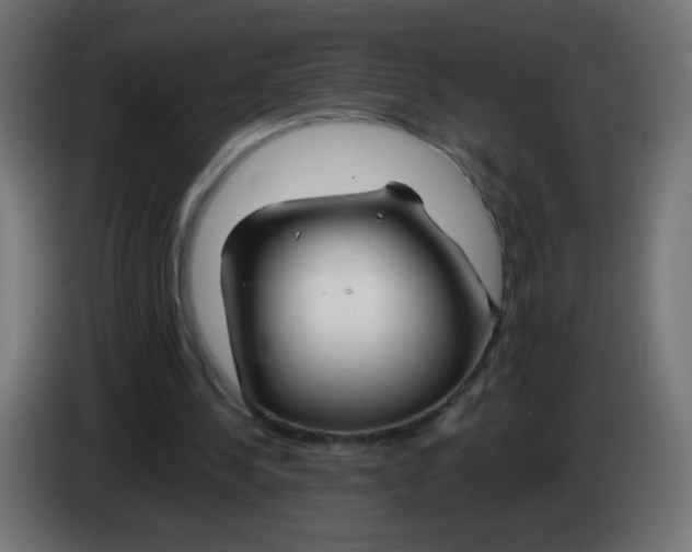 X0000083020244200703022010