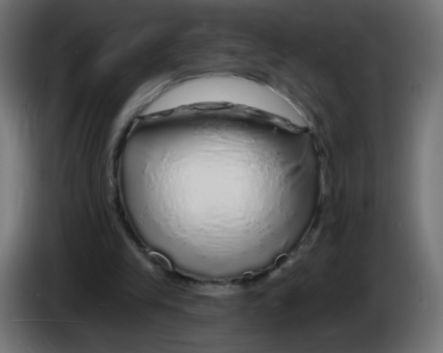 X0000083020245200703022010