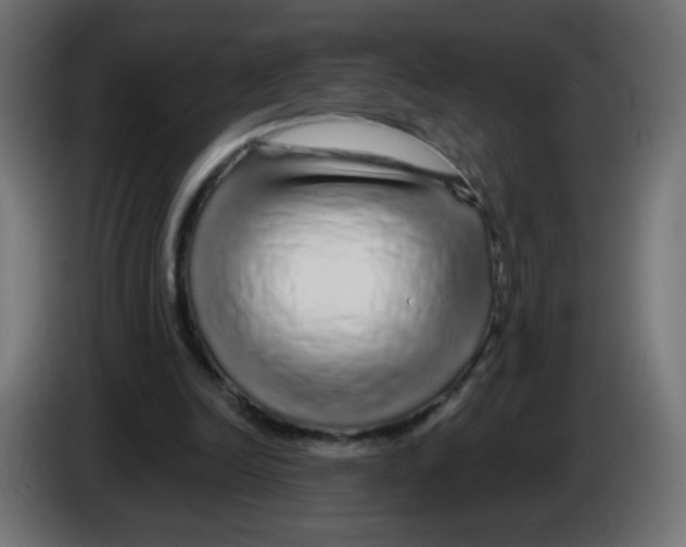 X0000083020246200703022010