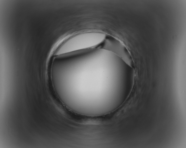 X0000083020248200703022010