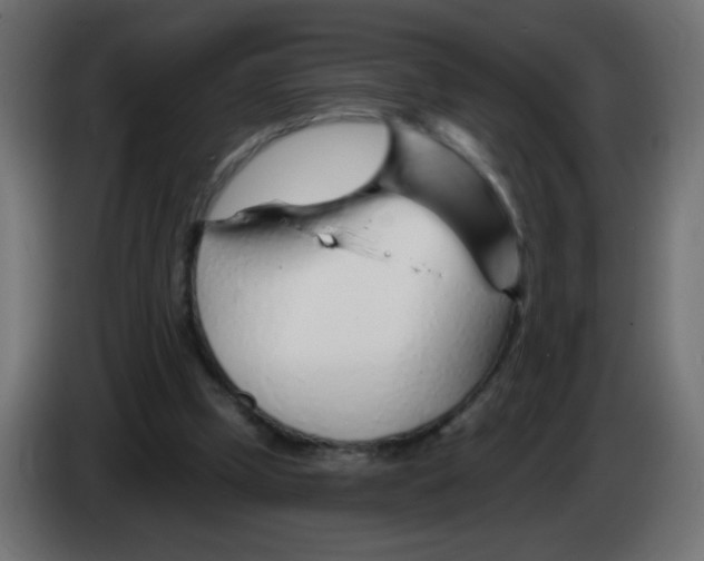 X0000083020249200703022010