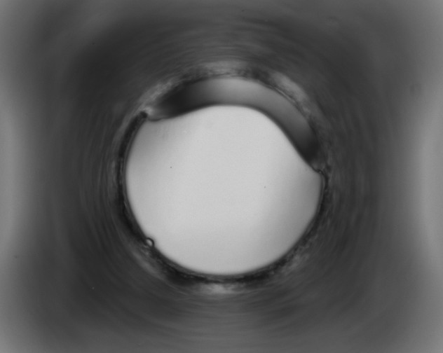 X0000083020250200703022010