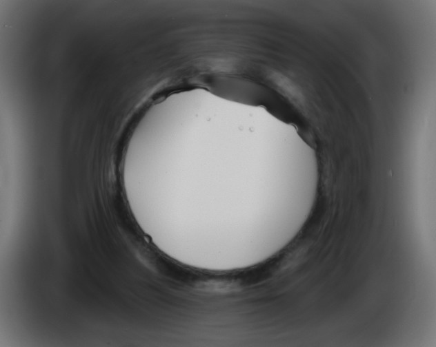 X0000083020251200703022010