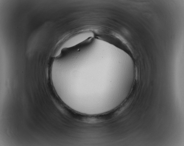 X0000083020253200703022010