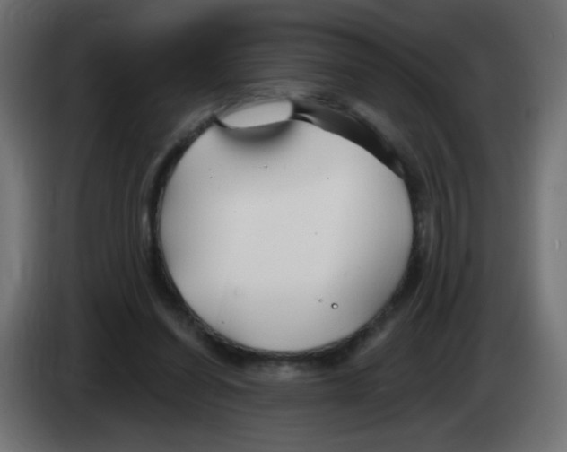 X0000083020254200703022010