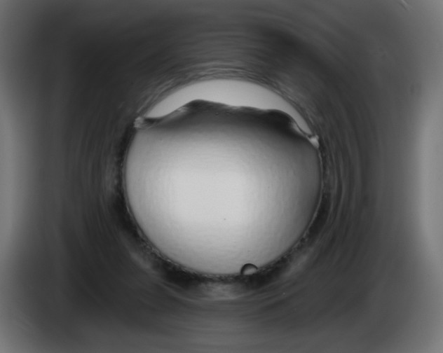 X0000083020255200703022010