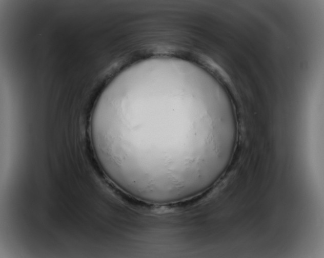 X0000083020257200703022010