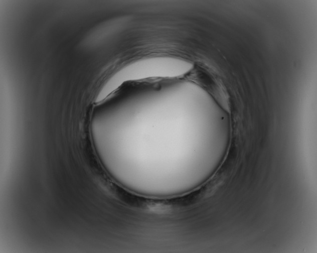 X0000083020258200703022010