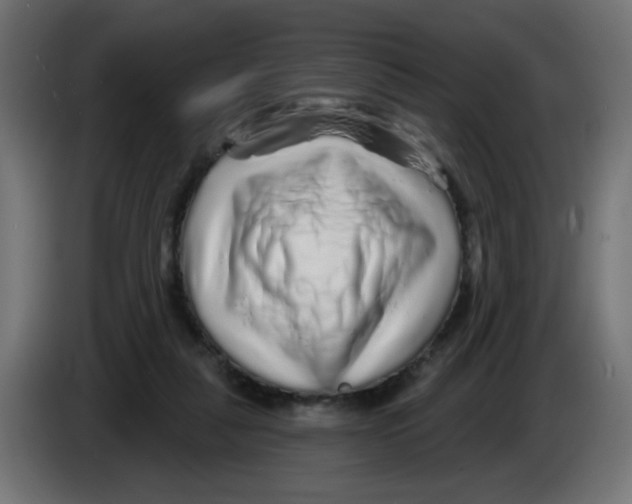 X0000083020259200703022010