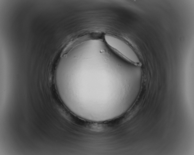 X0000083020261200703022010