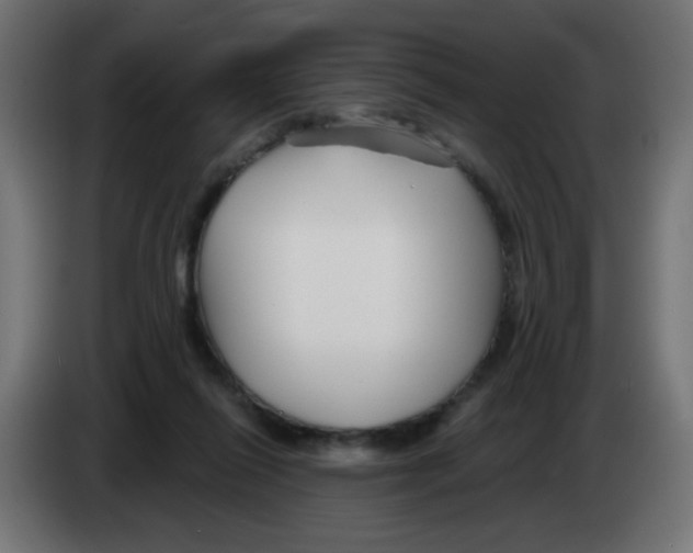 X0000083020262200703022010