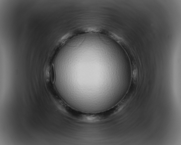 X0000083020264200703022010