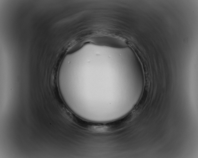 X0000083020266200703022010