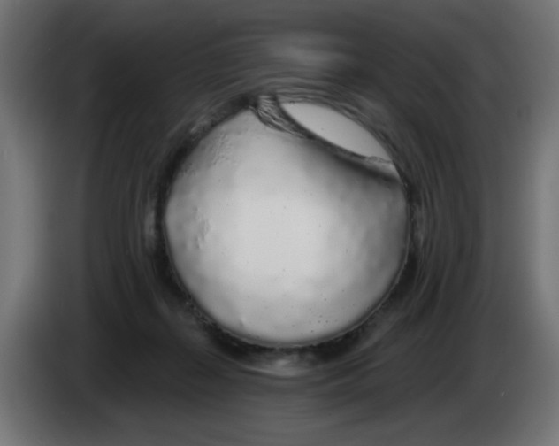 X0000083020267200703022010