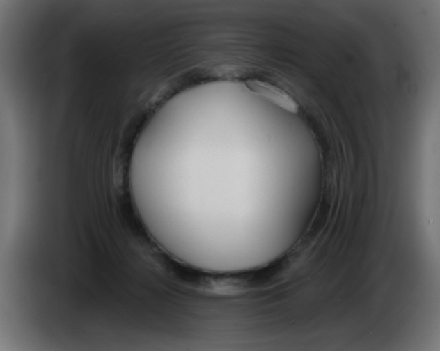 X0000083020268200703022010