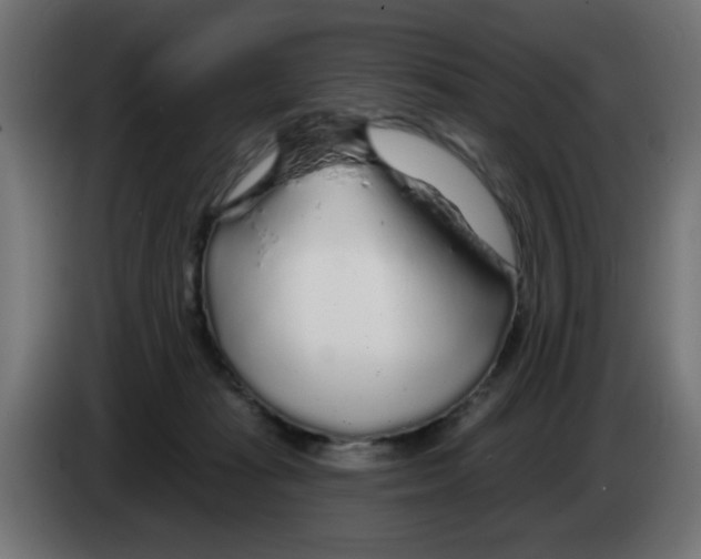 X0000083020269200703022010