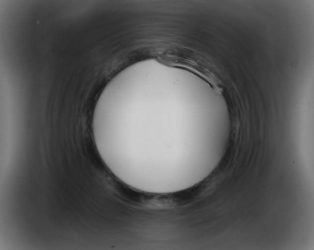 X0000083020270200703022010