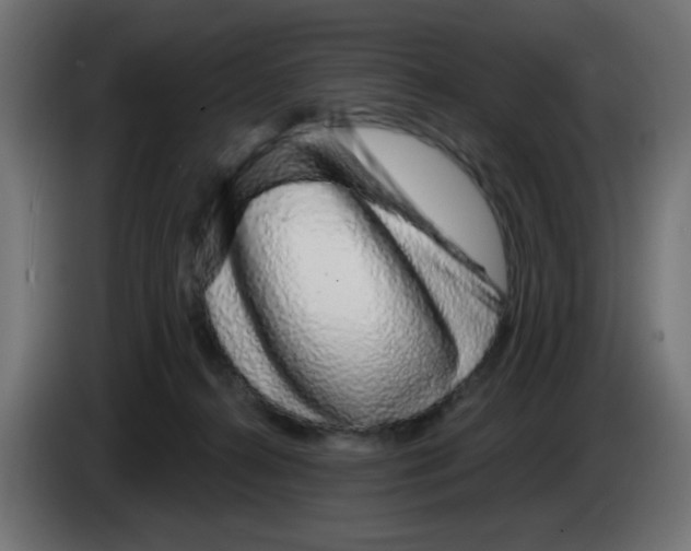 X0000083020272200703022010