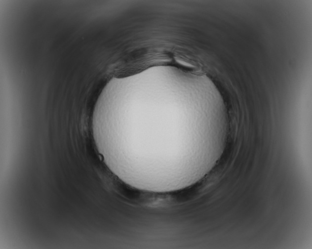 X0000083020274200703022010