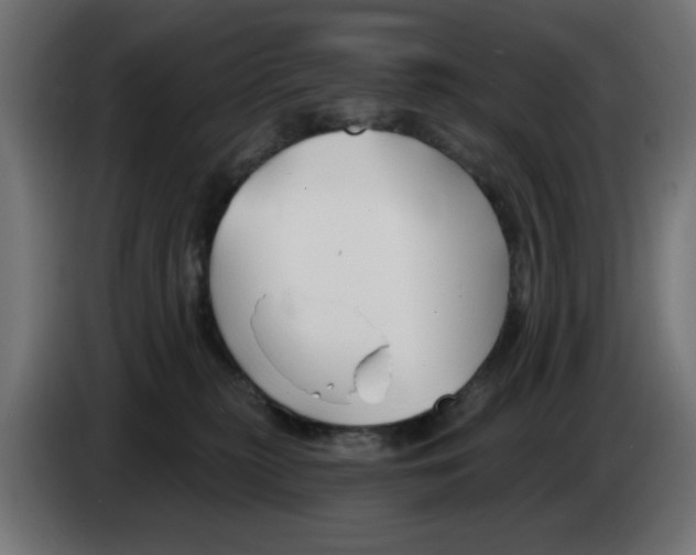 X0000083020279200703022011