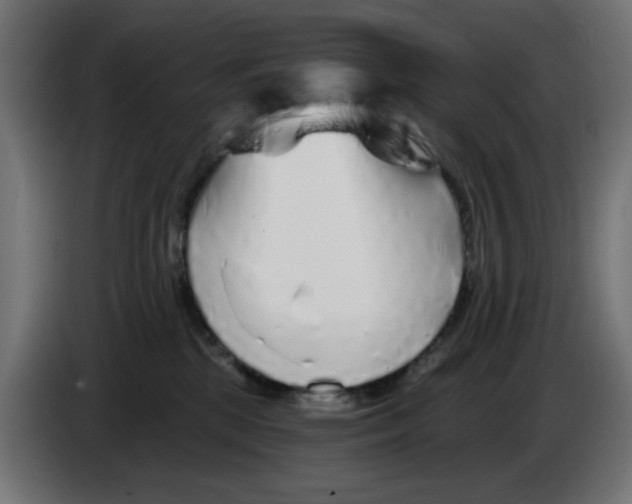 X0000083020281200703022011