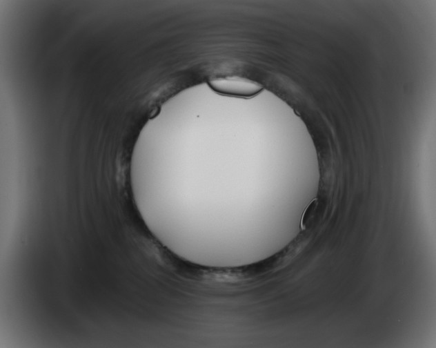 X0000083020282200703022011