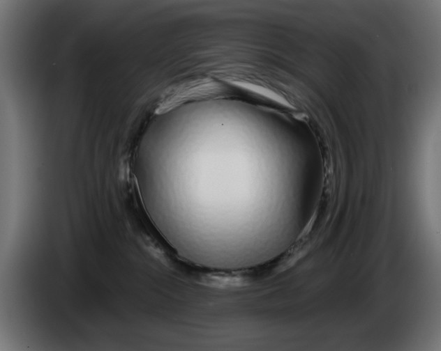 X0000083020284200703022011