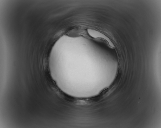 X0000083020285200703022011