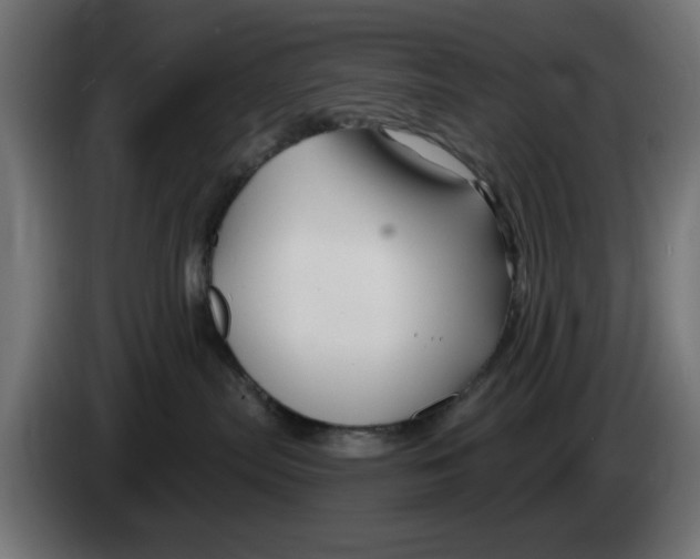 X0000083020287200703022011