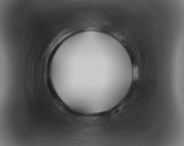 X0000083020291200703022010