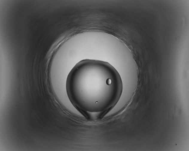 X0000083020293200703022010