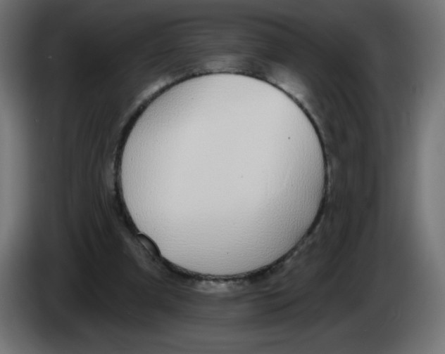 X0000083020297200703022010