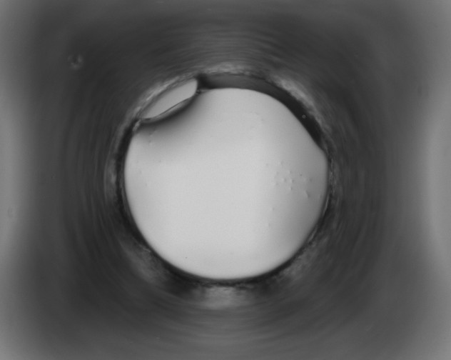 X0000083020298200703022010