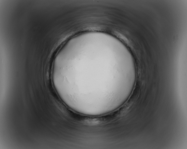 X0000083020299200703022010