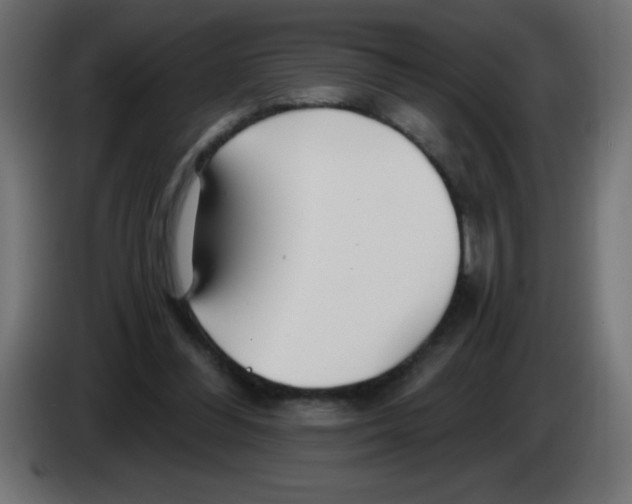 X0000083020300200703022010