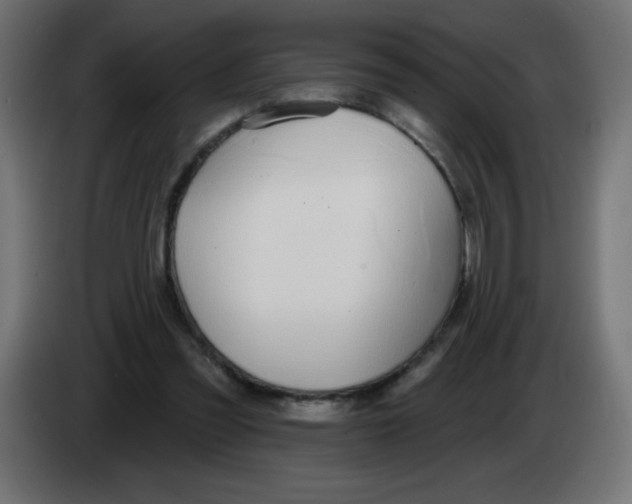 X0000083020301200703022010