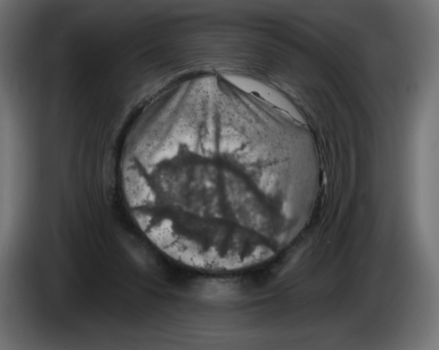 X0000083020303200703022010