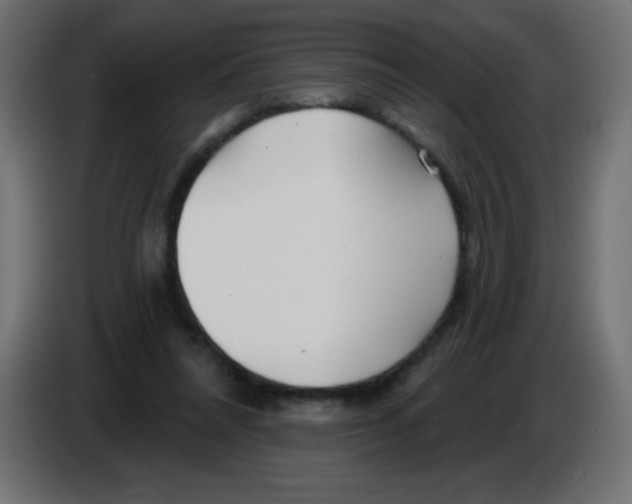 X0000083020304200703022010