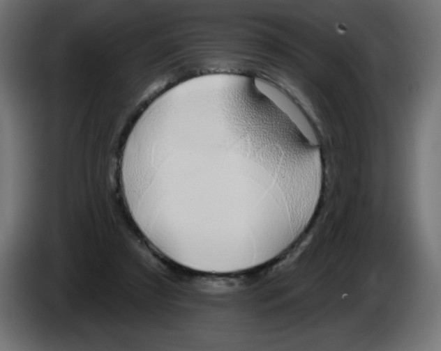 X0000083020305200703022010