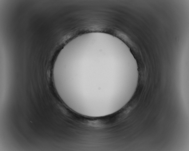 X0000083020309200703022010