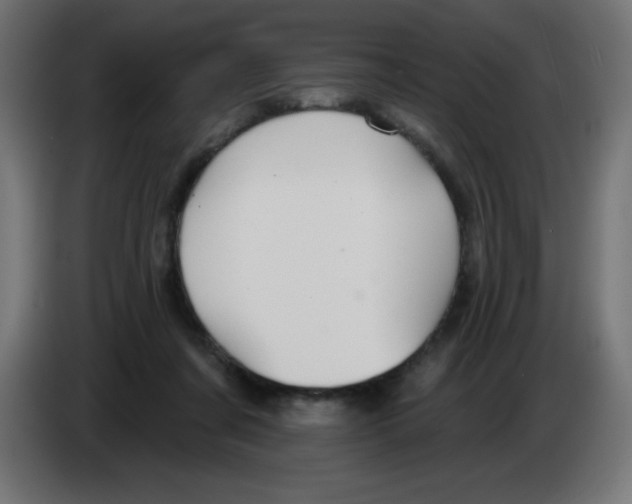 X0000083020311200703022010