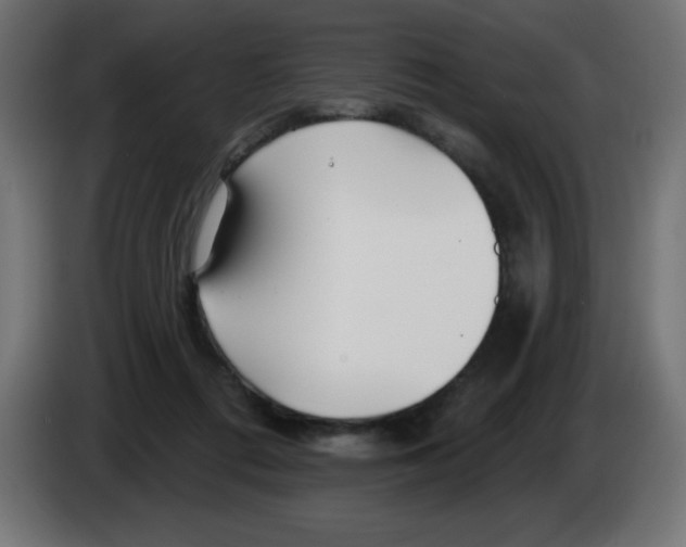 X0000083020312200703022010