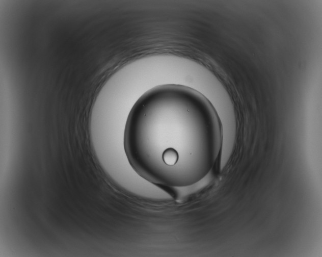 X0000083020313200703022010