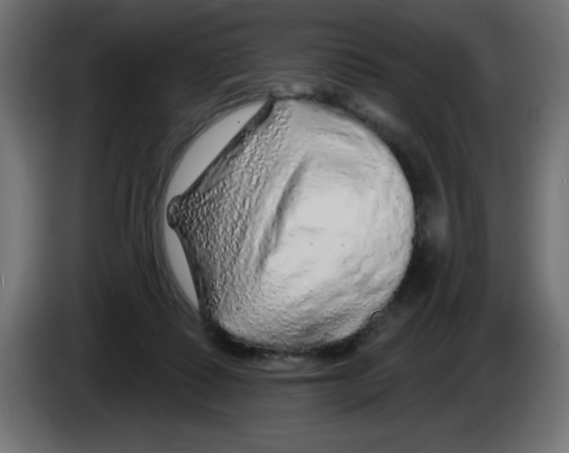 X0000083020315200703022010