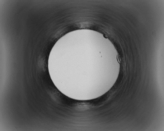 X0000083020316200703022010