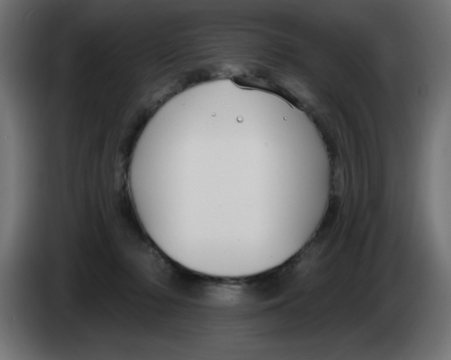 X0000083020318200703022010