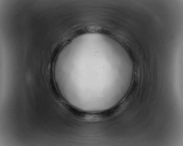 X0000083020319200703022010