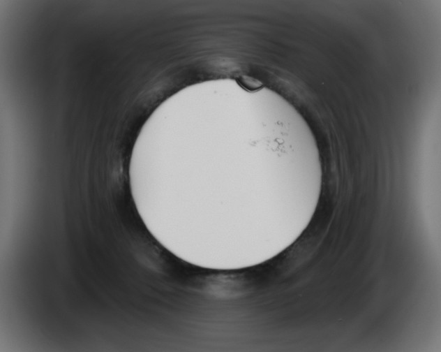 X0000083020320200703022010